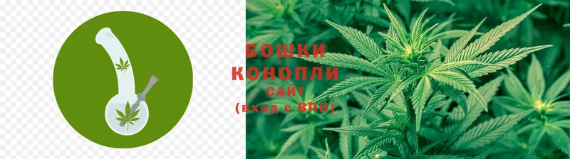 где купить наркоту  Казань  Конопля THC 21% 